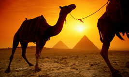 Ancient Egypt Tour