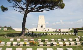 Daily Troy and Gallipoli Tour